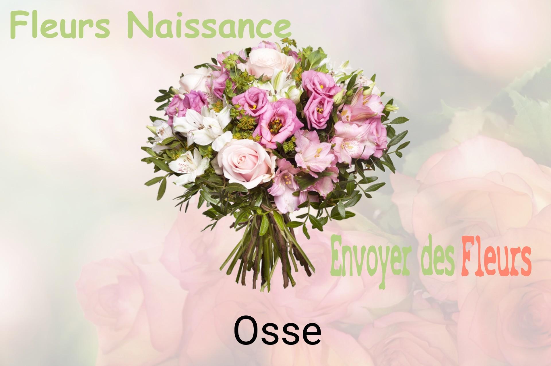 Bouquet de fleurs de naissance livré à Osse